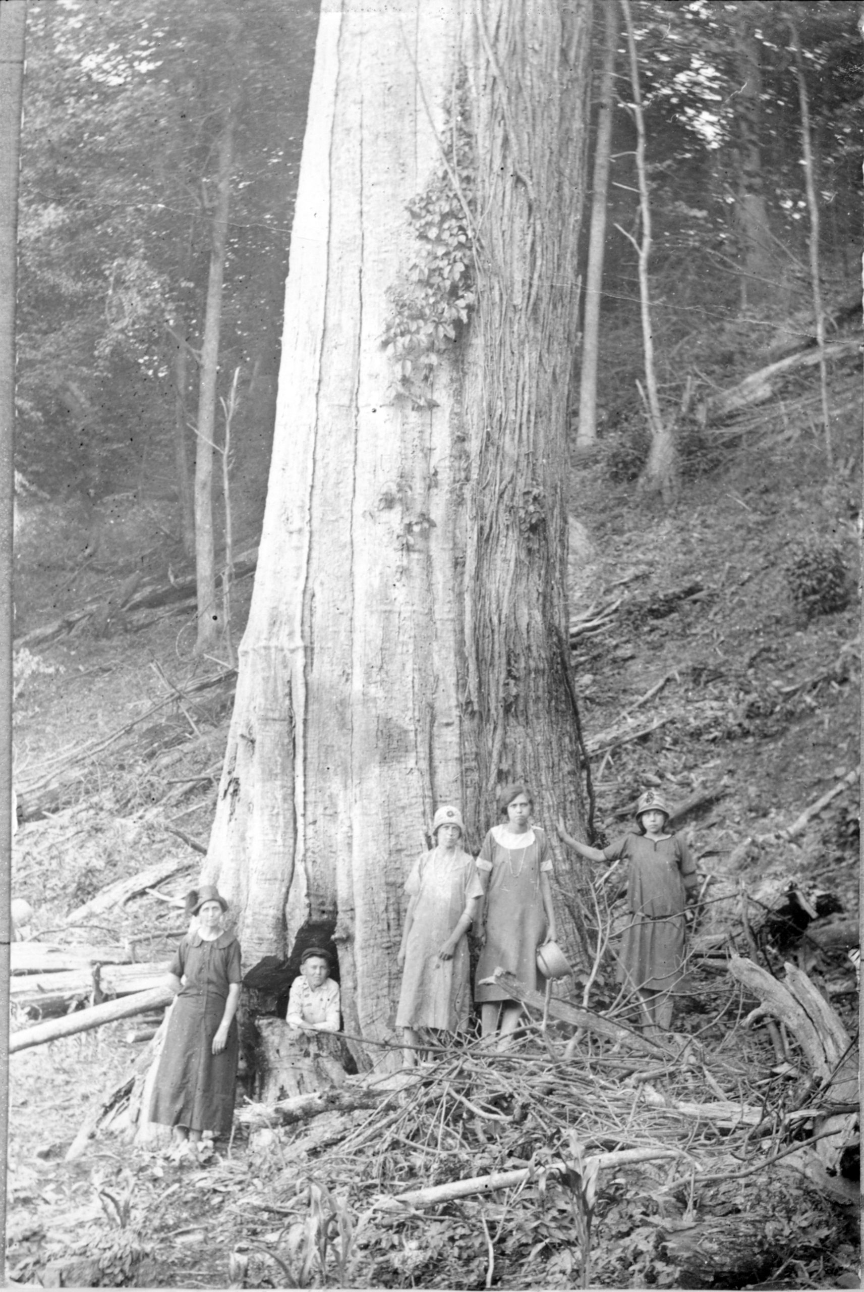 Jim and Caroline Walker Shelton's family standing by large chestnut tree below Tremont Falls, circa 1920